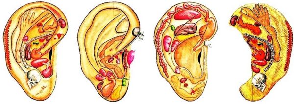 daith 07